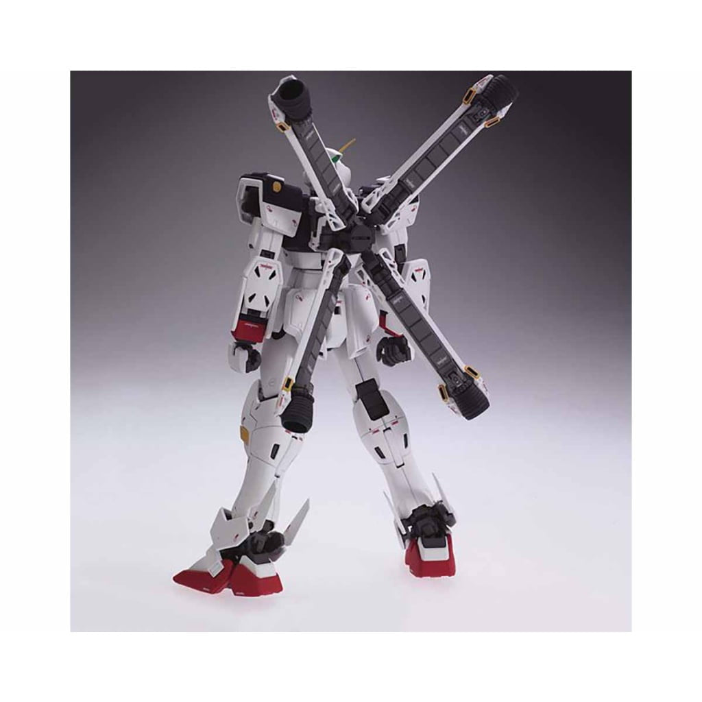 Gundam - Crossbone Gundam X1 Ver. Ka 1/100 [MG]